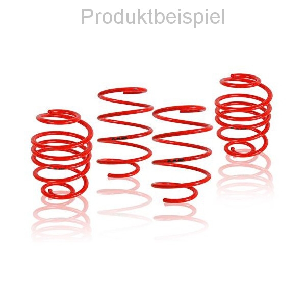 K.A.W Lowering Springs for Mercedes 190 1050-1075